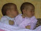 2005-12-21 the twins debut 082.jpg