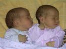 2005-12-21 the twins debut 086.jpg