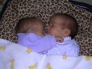 2005-12-21 the twins debut 090.jpg