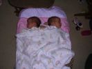 2005-12-21 the twins debut 094.jpg